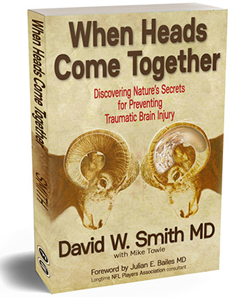 When Heads Come Together by David Smith MD